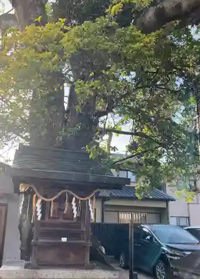 櫟谷七野神社(京都府)