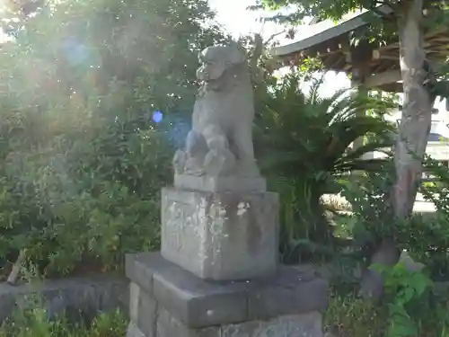 柄沢神社の狛犬