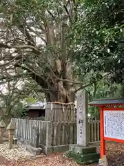 熊野速玉大社(和歌山県)