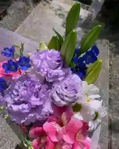 滑川神社 - 仕事と子どもの守り神(福島県)(2023年06月25日(日) 11時08分24秒投稿)