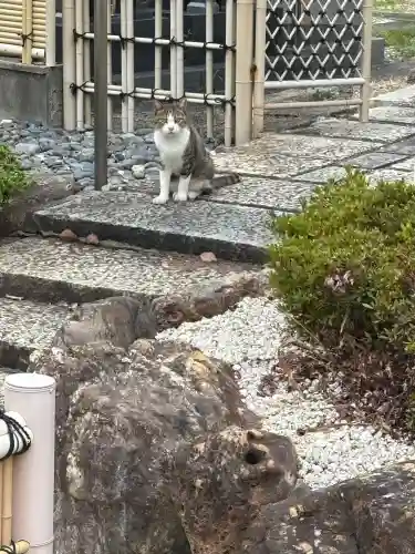 太閤山常泉寺(愛知県)