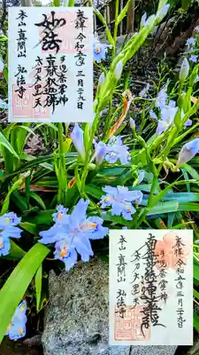 弘法寺(千葉県)