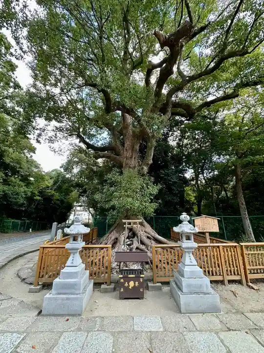 和泉國一之宮 大鳥大社(大阪府)