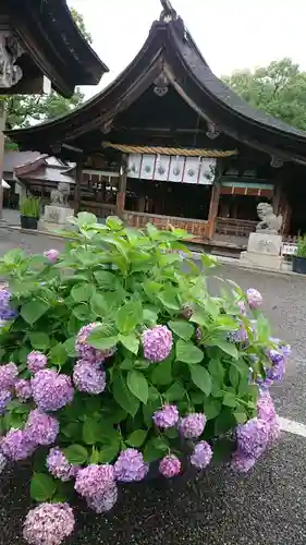 尾張大國霊神社（国府宮）の本殿・本堂