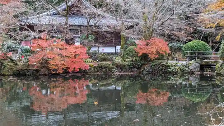 醍醐寺(京都府)