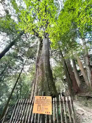 圓教寺(兵庫県)