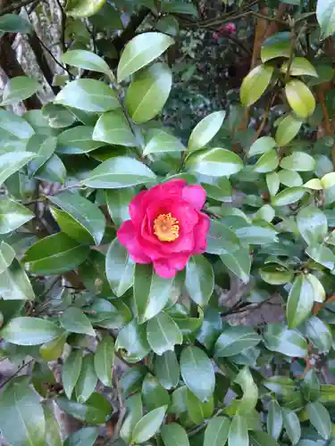 高千穂神社(宮崎県)