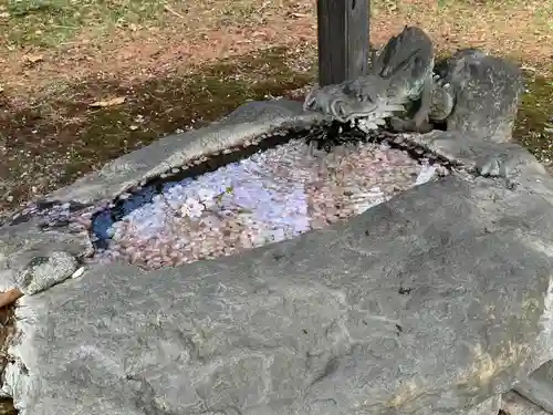 帯廣神社の手水