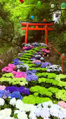 柳谷観音　楊谷寺(京都府)