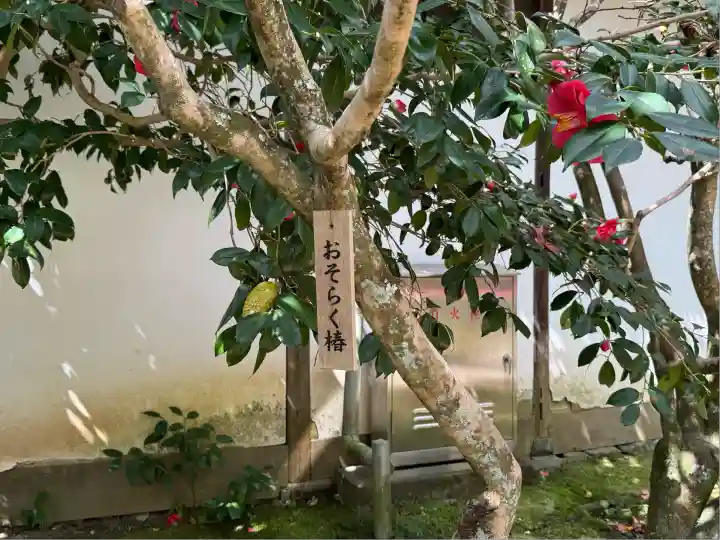 霊鑑寺門跡(京都府)