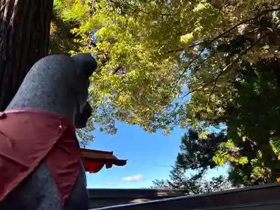 冨士山稲荷神社(長野県)