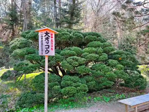 達谷西光寺の自然