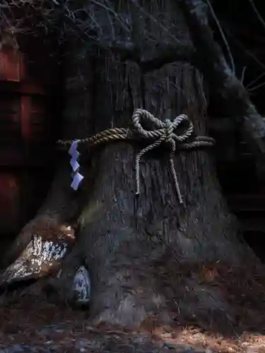 北口本宮冨士浅間神社(山梨県)