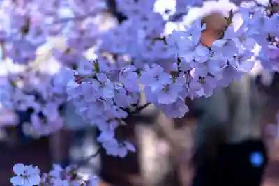 新城藤原神社(長野県)