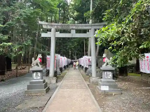 豊川閣　妙厳寺の鳥居