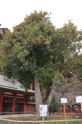 志波彦神社・鹽竈神社(宮城県)
