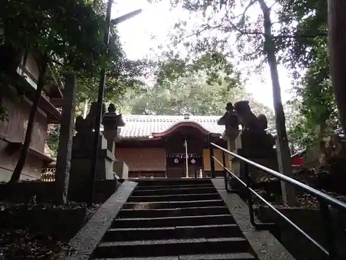 和爾下神社の本殿