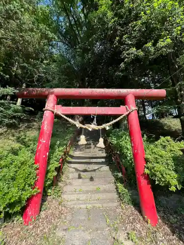 五社稲荷神社の鳥居