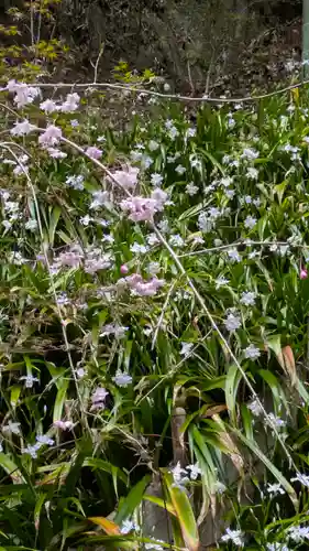 椎尾神社の自然