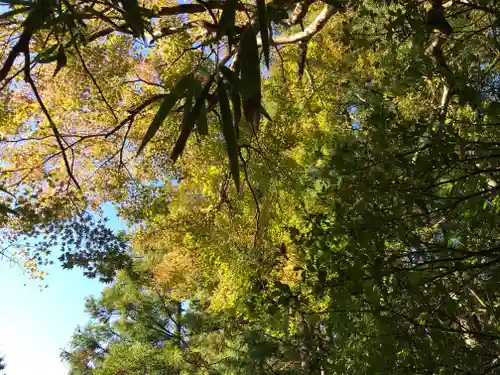 白山神社の自然