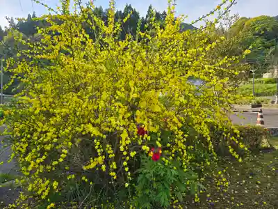 地蔵院 (室生寺塔頭)(奈良県)