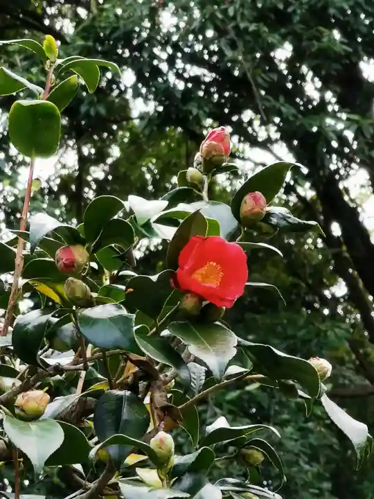 慈光院の{uncategorized: "未分類", other: "その他", undefined: "問題あり", building: "その他建物", grave: "お墓", sacred_gate: "鳥居", guardian: "狛犬", statue: "像", buddha: "仏像", history: "歴史", nature: "自然", garden: "庭園", animal: "動物", pagoda: "塔", temizu: "手水舎", mountain_gate: "山門・神門", sanctuary: "本殿・本堂", subordinate: "末社・摂社", art: "芸術", scenery: "景色", jizo: "地蔵", ema: "絵馬", goshuin: "御朱印", omikuji: "おみくじ", items: "授与品その他", amulet: "お守り", goshuincho: "御朱印帳", eats: "食事", festival: "お祭り", votive_dance: "神楽", shichigosan: "七五三参", wedding: "結婚式", experience: "体験その他", initially: "初詣", around: "周辺", anti_infection: "感染症対策"}