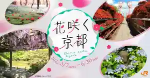 花咲く京都キャンペーン実施中！