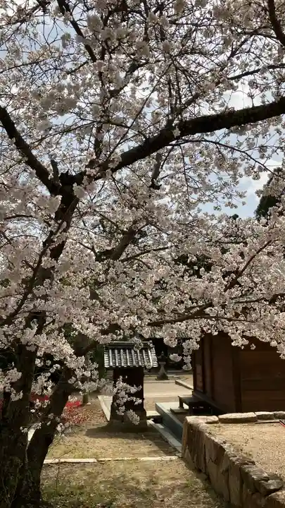 備前国総社宮の自然