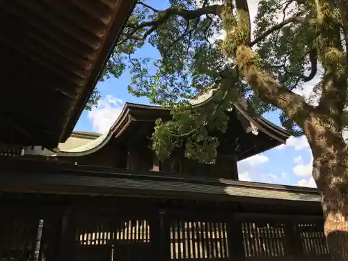 若松恵比須神社 の本殿