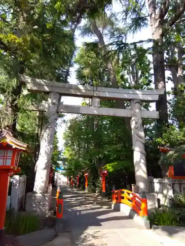 馬橋稲荷神社(東京都)