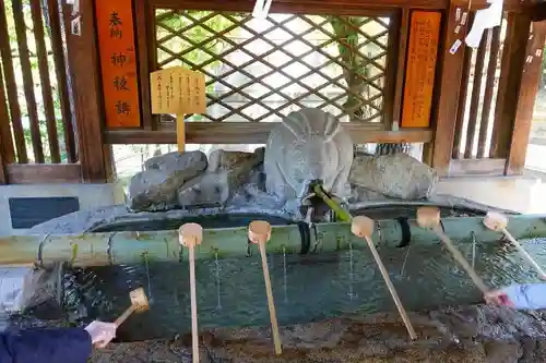 住吉大社の手水舎