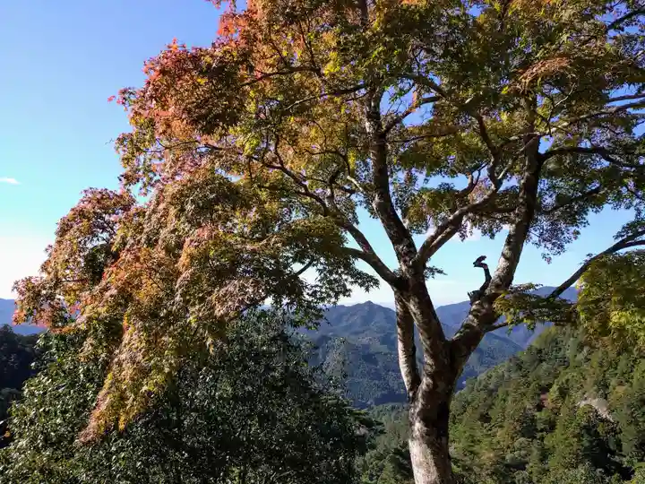 鳳来寺(愛知県)