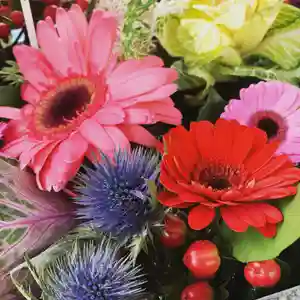 豊景神社の手水舎(2022年02月09日(水) 13時07分48秒投稿)