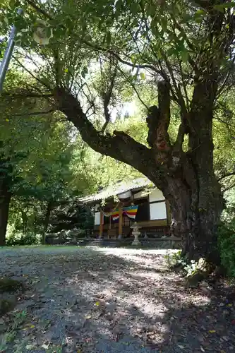 瀧澤神社(岩手県)