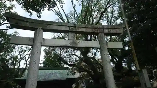 伊河麻神社の鳥居