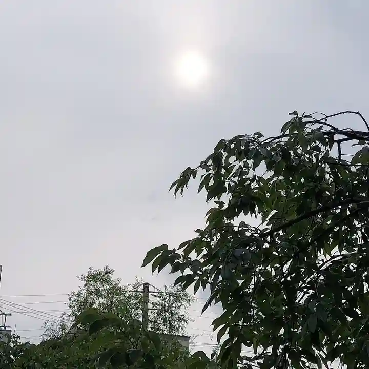 青龍神社(東京都)