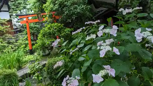 宝蔵寺(京都府)