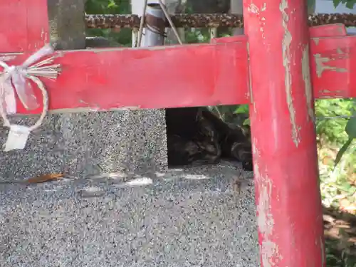 海南神社(神奈川県)