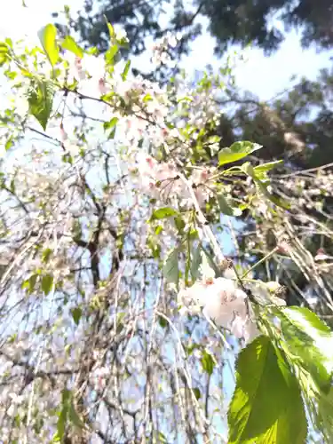 日吉神社の自然