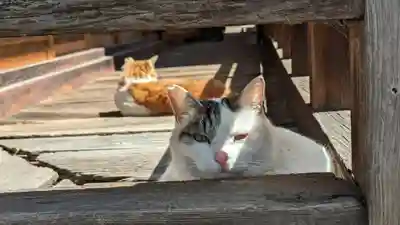 安樂壽院(京都府)