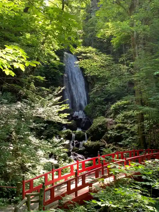 桜松神社の自然