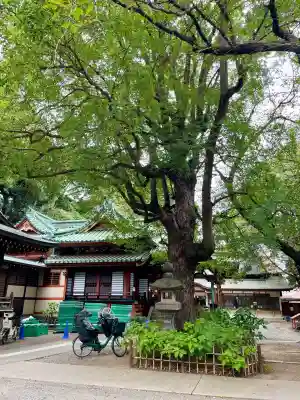 王子稲荷神社(東京都)