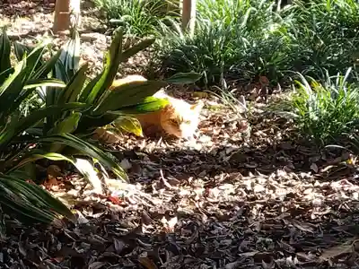 喜見寺(愛知県)