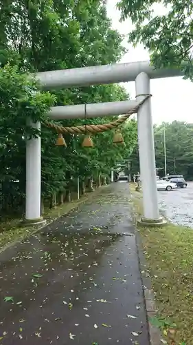 鳥取神社の鳥居