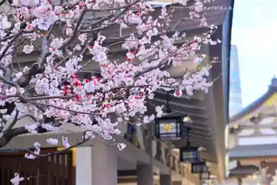 湯島天満宮(東京都)
