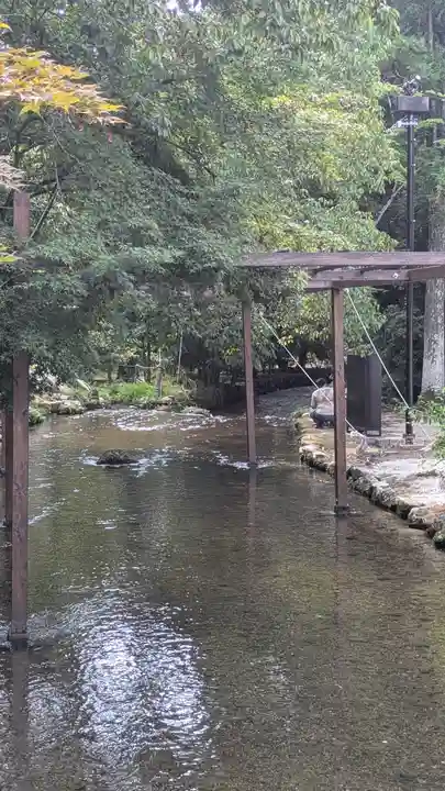 賀茂別雷神社(上賀茂神社)(京都府)