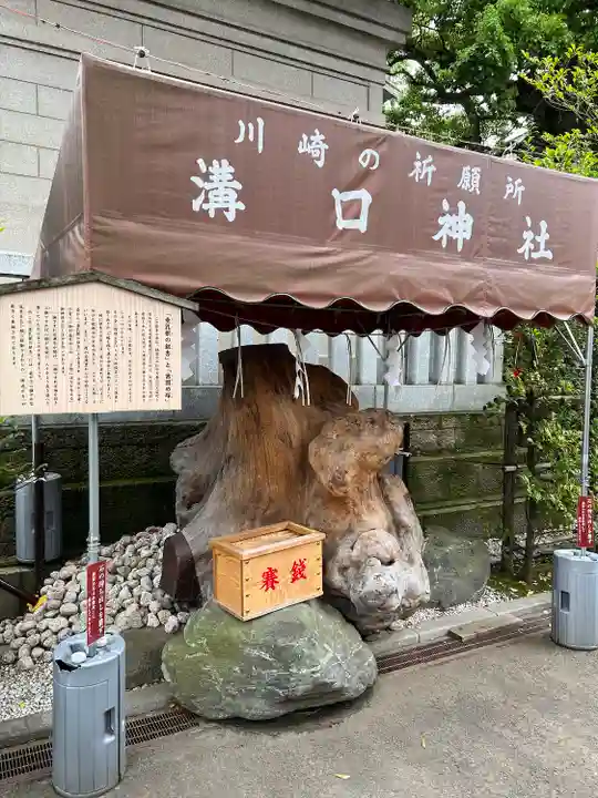 溝口神社(神奈川県)