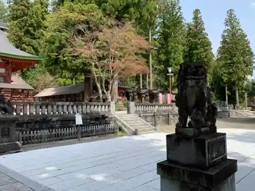 遠野郷八幡宮の狛犬