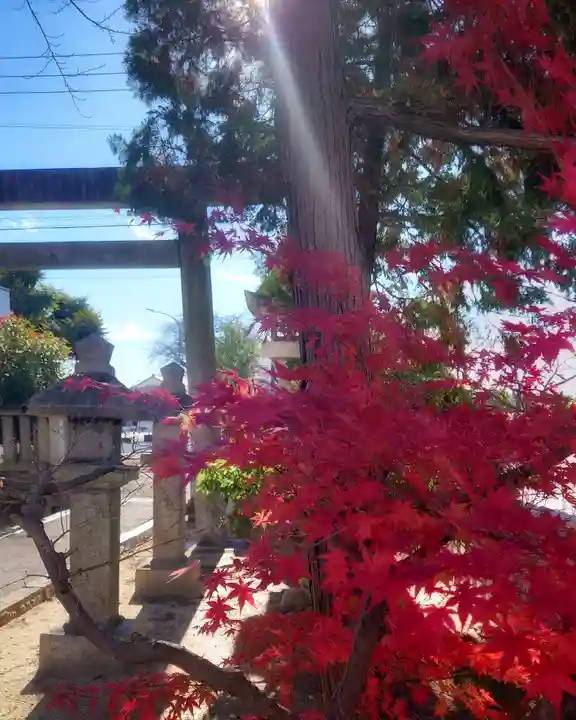 秋葉神社の自然