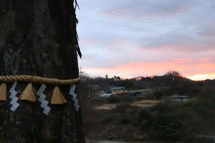阿久津「田村神社」(郡山市阿久津町)旧社名:伊豆箱根三嶋三社の自然